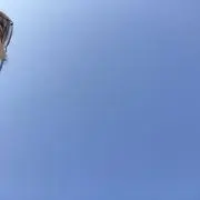 みー