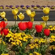 colorfulshopの画像