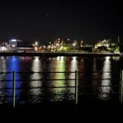 Tの画像