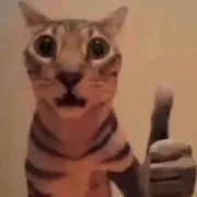 龍角散の画像