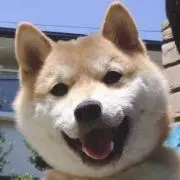 どんどんの画像