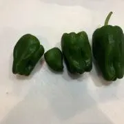 渡辺の画像