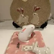 はまこの画像