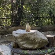 まる