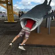 ヨコピィの画像