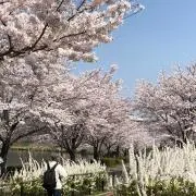 ☆KU-CHAN☆の画像