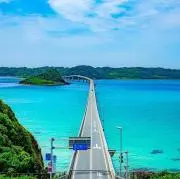 みーさの画像