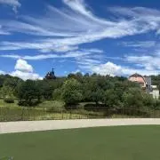 もさし　断捨離中の画像