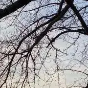 田中の画像