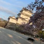 こばりょーの画像