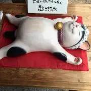 ごんちゃん