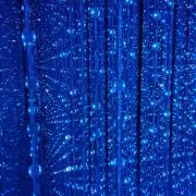 ドンセイ☆の画像