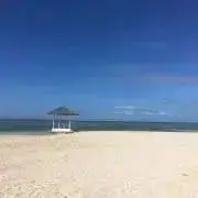 chiroの画像