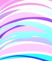 てとらの画像