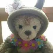 メイプル