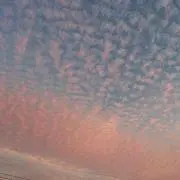 よしてる
