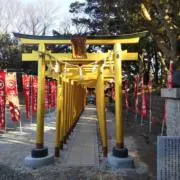チェ(プロフィ必読購入願)の画像