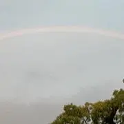 のの
