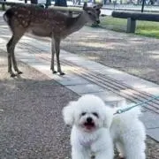 Kouの画像