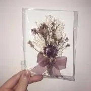 ksの画像