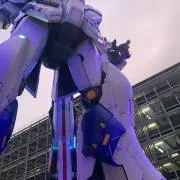 るどの画像