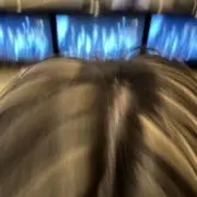 みの画像