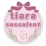 tiara ｛在庫処分セール♥の画像
