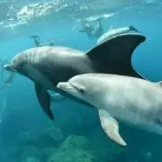 ⭐︎Mi⭐︎の画像