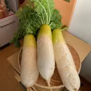 おからっこの画像