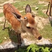 まこらぱん♪の画像