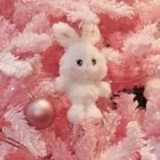 あいかの画像