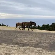 きち　※プロフ確認願います！の画像