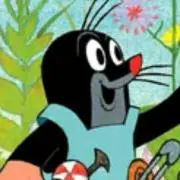 Hachiの画像