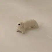 シロナガイヌの画像