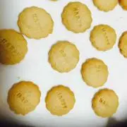 nekotaroの画像