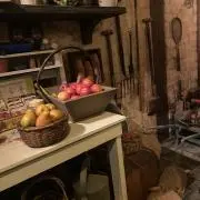 ‪‪ずんの画像