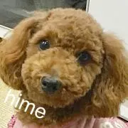 ミカリン