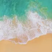 やもっち