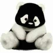 だんぱの画像