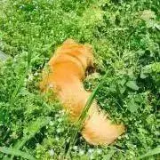 ぶんきち【お値段交渉ok♪】の画像