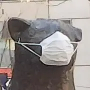 久遠 綾☆即購入OK☆♡フォロワー割有♡