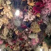 a.の画像