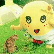 さゆの画像