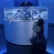 9 ringの画像