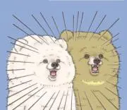 ふなの画像