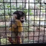 ともみん〜プロフ必読〜の画像