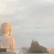♡もな♡まとめ買い大歓迎の画像