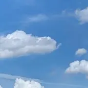 めめの画像