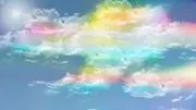 ローズちゃんの画像