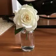 みーまんの画像